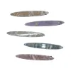 Colorful shell-patterned hair clips are fashionable and simple women's headwear accessories Item Picture